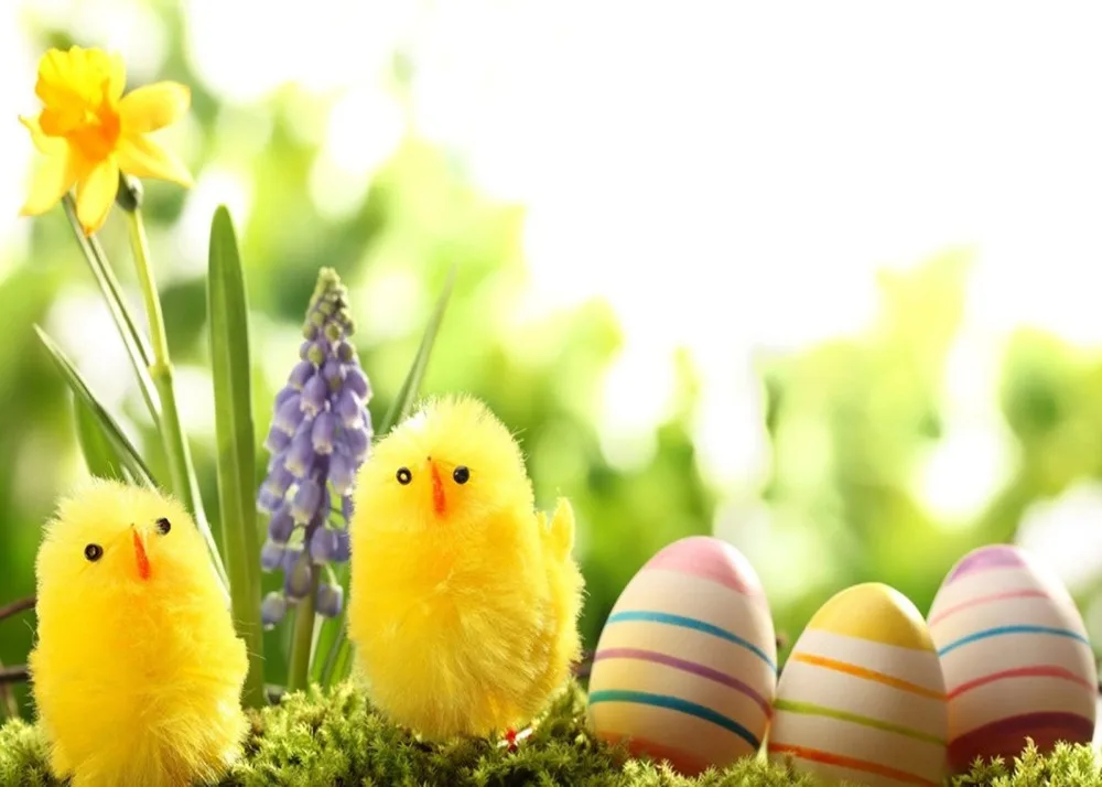 كابيسكو لطيف الفرخ صورة خلفية استوديو الدعائم الفينيل الخلفيات بيضة عيد الفصح الكرتون الطفل الاطفال التصوير الفوتوغرافي