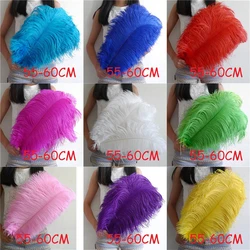 5pcs/lot 10 Kinds Color 55 - 60cm Ostrich Feathers Plumages 22- 24'' Feathers Wedding Party Supplies Dancer Decoration