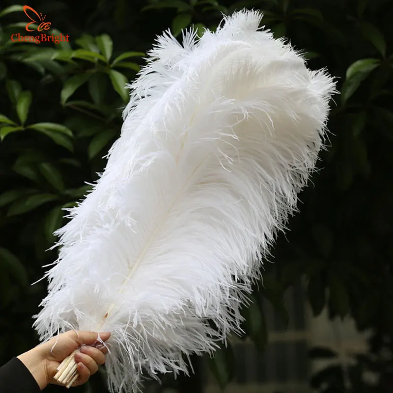 CHENGBRIGHT 100 Pcs/Lot Natural White Ostrich Feathers For Craft 15-70CM Carnival Costumes Party Home Wedding Decorations Plumes