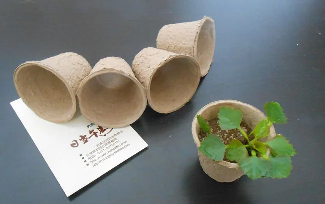 

Biodegradable flower pot for seedling, vegetable nursery tray, Cup planters, garden supplies, 40PCs