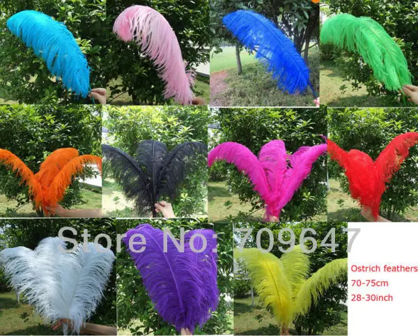 

страусиные перья! big feathers ! 50PCS/LOT 28-30inch/70-75cm Natural OSTRICH FEATHERS for Wedding 11Colours Available!