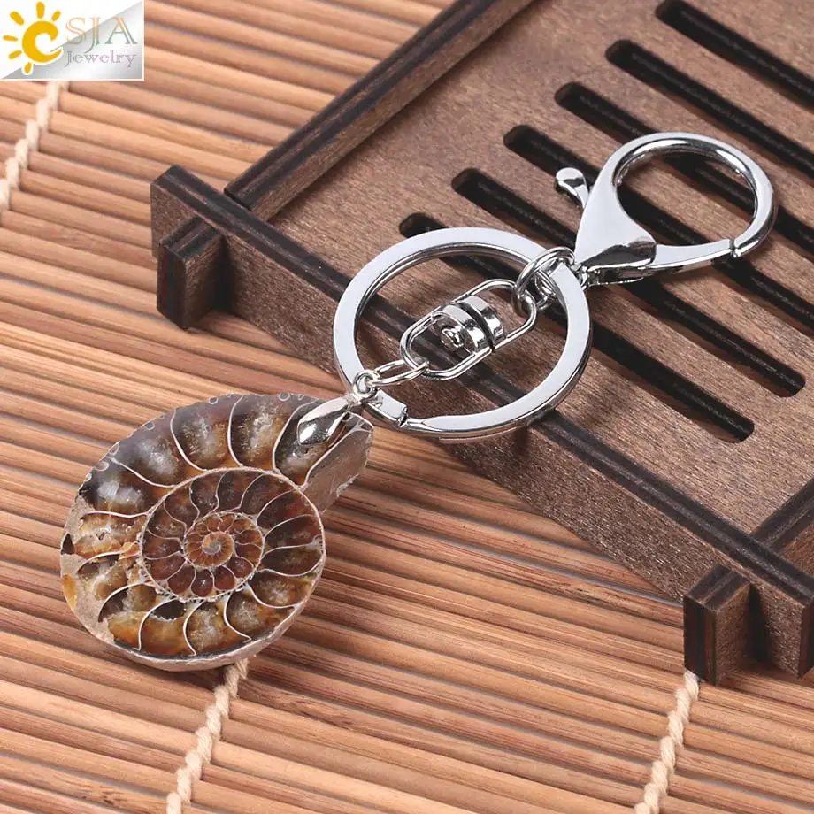 CSJA Motorcycle Car Door Keychains Key Rings Key Holder Lobster for Mens Women Natural Stone Ammonite Animal Shell Pendants F024