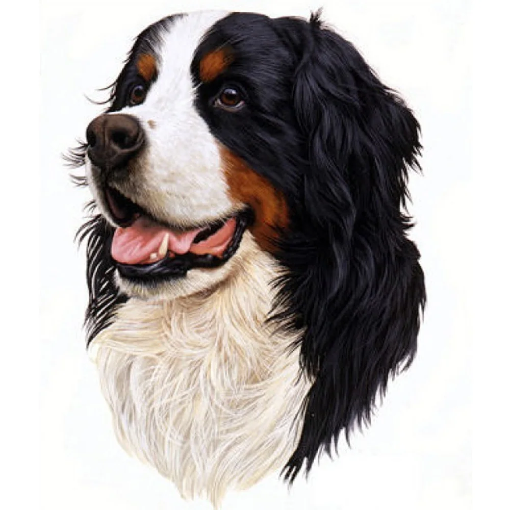 Needlework Diamond Embroidery Beads Puppy Bernese Mountain Dog Pet Diamond Painting 3D 5D DMC Cross Stitch Oil Painting Handwork
