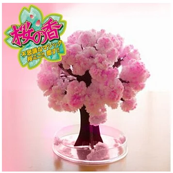 2019 14x11cm Pink Big Grow Magic Japanese Sakura Paper Tree Magically Growing Trees Kit Desktop Cherry Blossom Christmas 5PCS