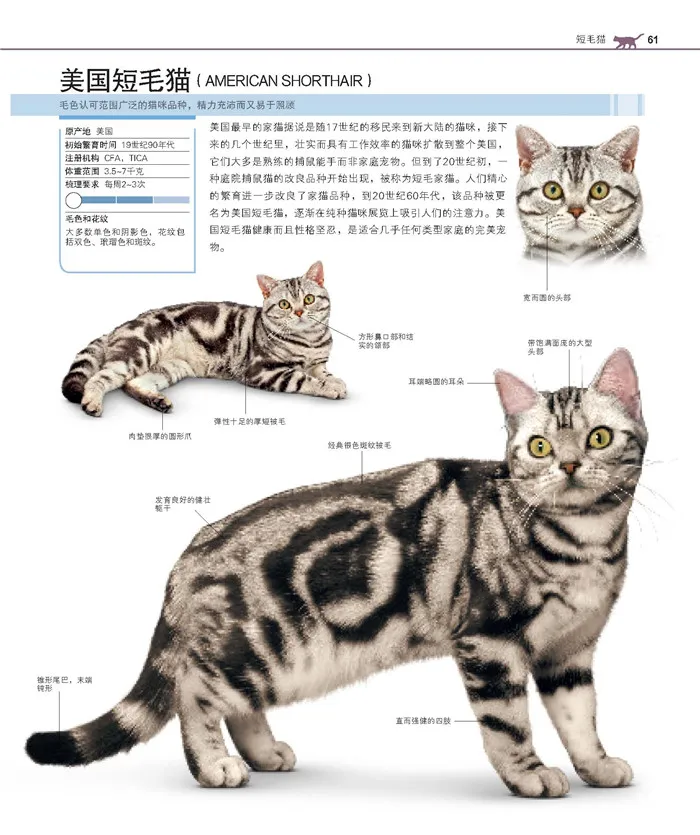 New Hot 1pcs World famous cat domesticated Encyclopedia the complete cat breed book for adult