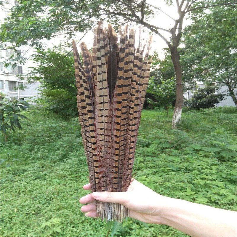 Wholesale, 50pcs natural pheasant tail feathers of 40 -45 cm /16-18inch