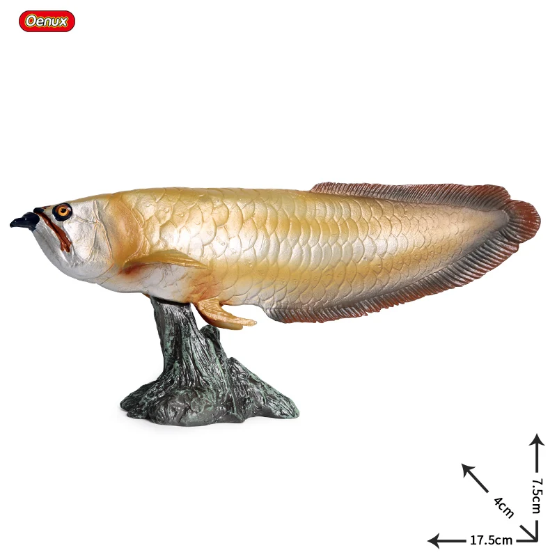 Oenux 海の魚動物モデルシミュレーション sealife シーラカンス