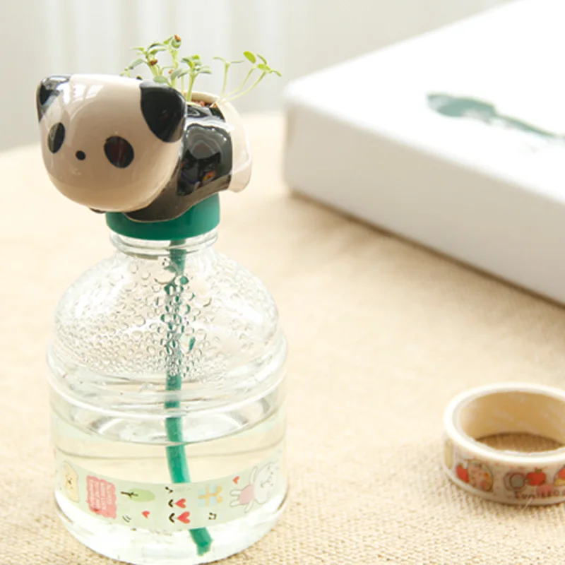 

Pet bottles of hydroponic plants potted plants Mini Desktop potted cute animal tail water wholesale manufacturers