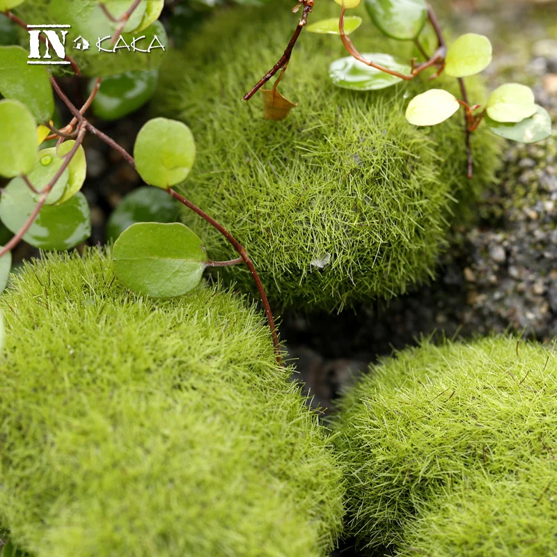 Zakka Micro Landscape Fairy Garden Miniature Decoration Ornament Artificial Fake Moss Lawn Mossy Stone Model Toy DIY Accessories - Image 3