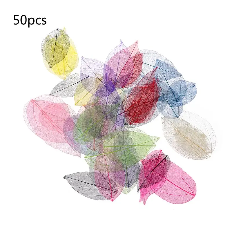 50 Pcs Mixed Color Natural Skeleton Leaves Pressed Flower for Jewelry Making