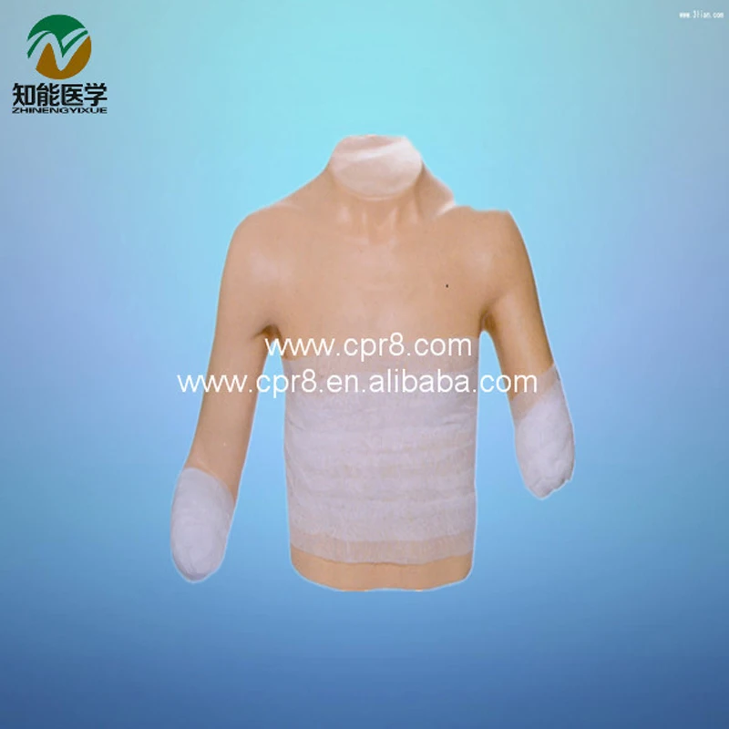 

BIX-LV13 Senior Upper Body Binding Model Human Medical Instruments W003