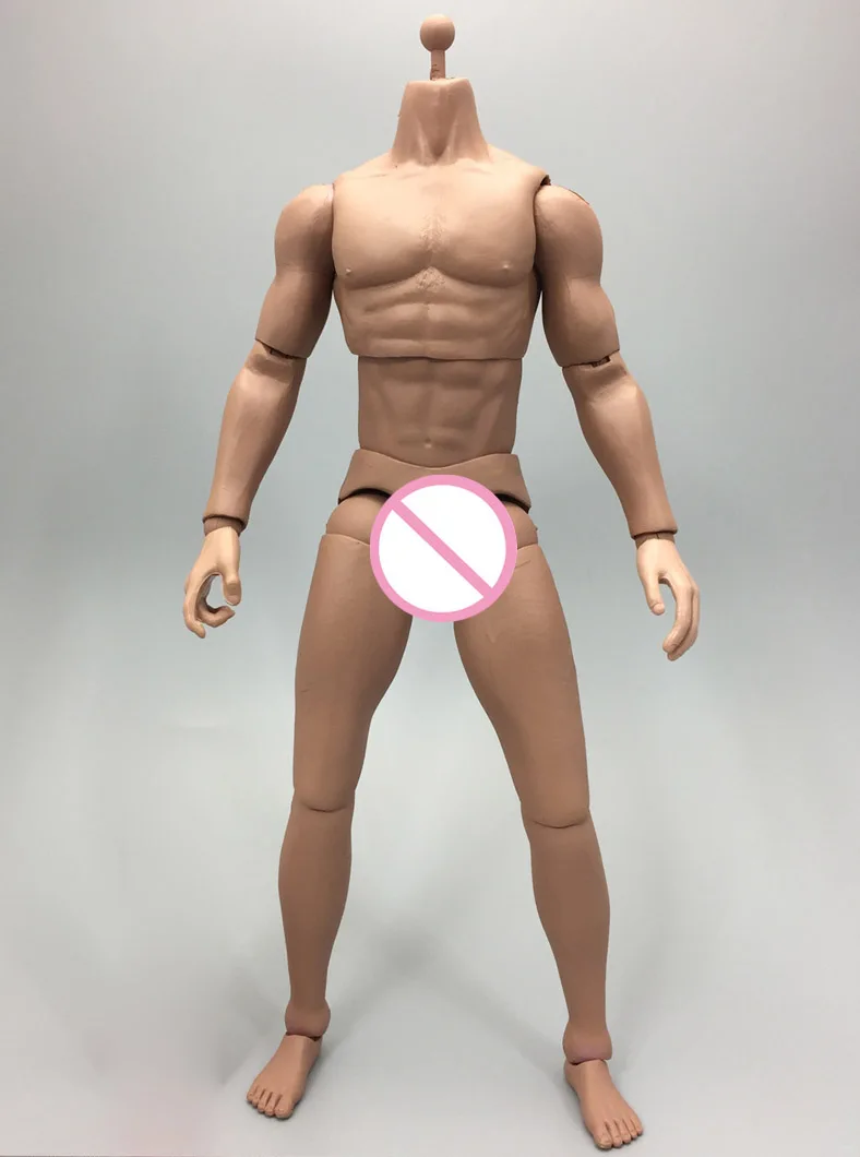 

Collection Toys 1/6 Male General Skin Color Muscular Semi Body Figure for 12 inches DIY Action Figures