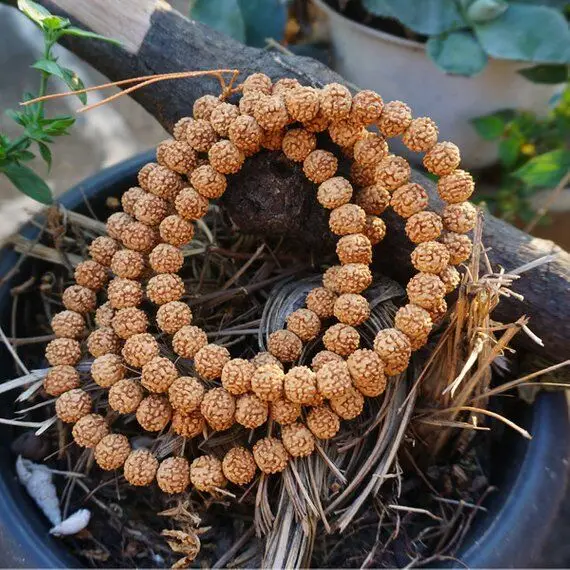 6mm / 8mm /10mm Natural Rudraksha Beads 108 Mala Beads Loose Round Rudraksha Beads Meditation Prayer Beads Japa Mala Buddha