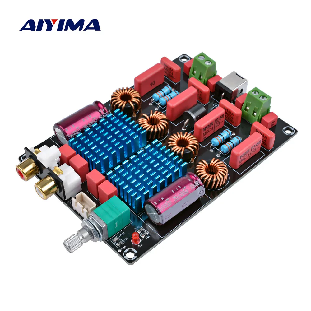 

AIYIMA Professional Mini Amplificador Audio Amplifiers Board TPA3116 2.0 Dual Chip Digital Power Amplifier 100W For Home Theater