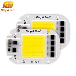 Chip de bombilla LED COB para bricolaje, 20W, 30W, 50W, IC inteligente, 110V, 230V, luz de inundación de día, blanco frío, blanco cálido, cuentas LED, 2 piezas