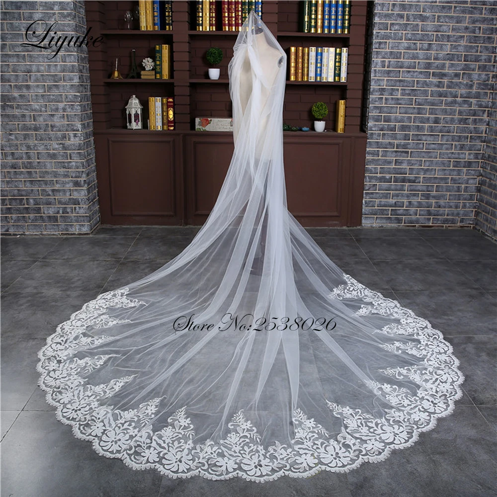 Liyuke Elegant Wedding Veil With Appliques Edge For Wedding Occasion Of 300cm Length