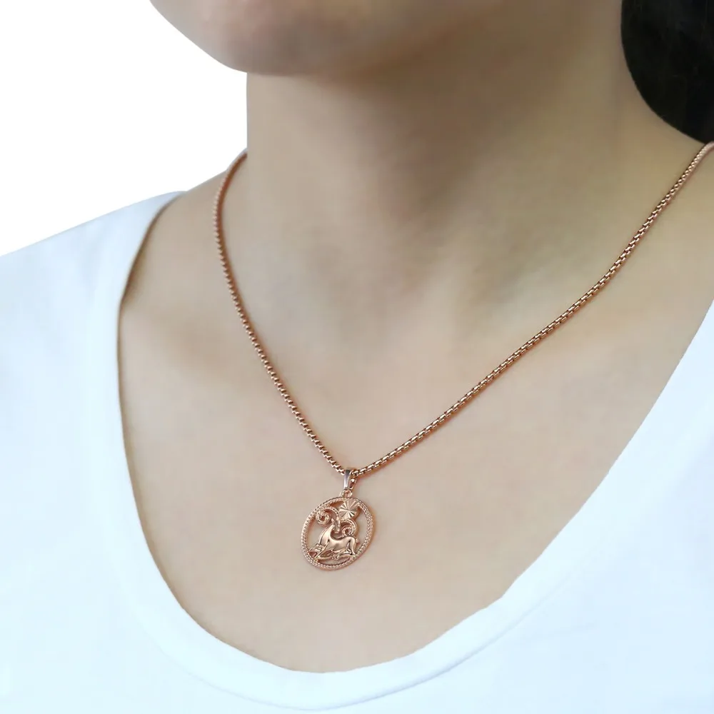 12 Zodiac Sign 585 Rose Gold Color Constellation Pendant Necklace for Women Men Best Friend Jewelry Gift Dropshipping GPM21A