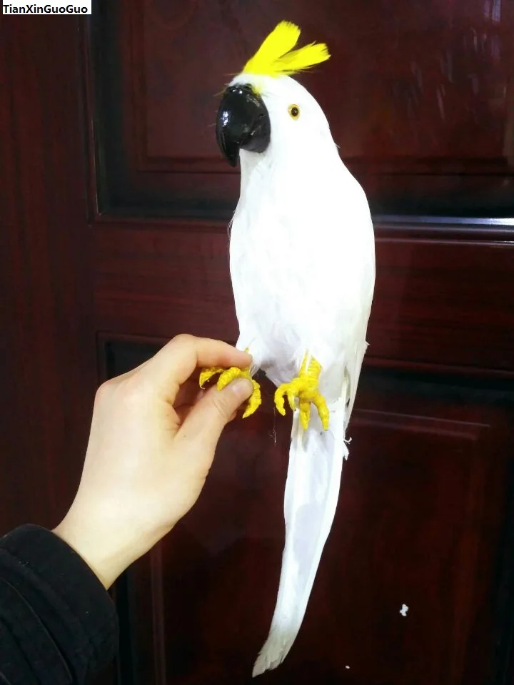 

large 42cm white feathers parrot cockatoo bird hard model prop,home garden decoration gift s1388