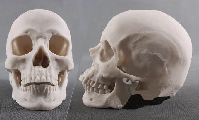 1:1 The Actual Size Skull 3D Silicone Fondant Cake Molds Halloween Series Skull DIY Decor Embosser Mould Cake Baking Tools FM463 image 2
