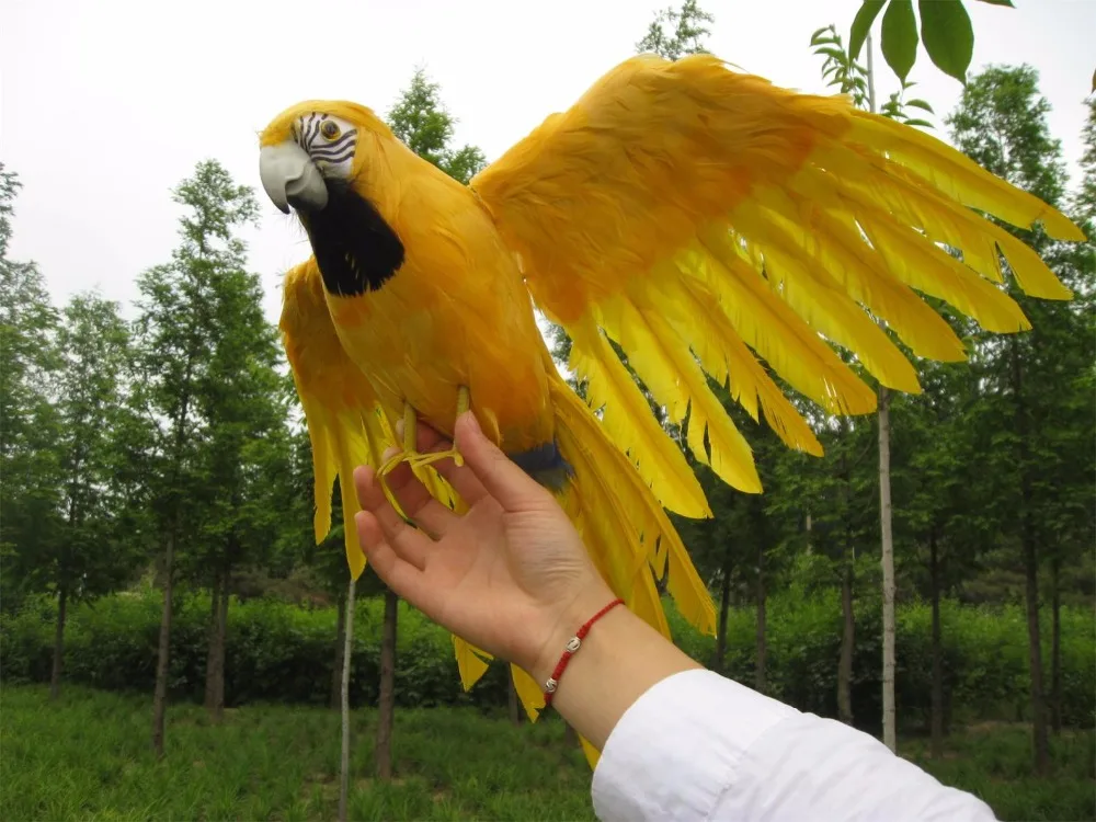 

large 45x60cm yellow feathers parrot model spreading wings parrot bird handicraft prop,home garden decoration gift p0890