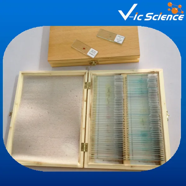 High Quantity Histology Microscope Prepared Slides Set With 181pcs