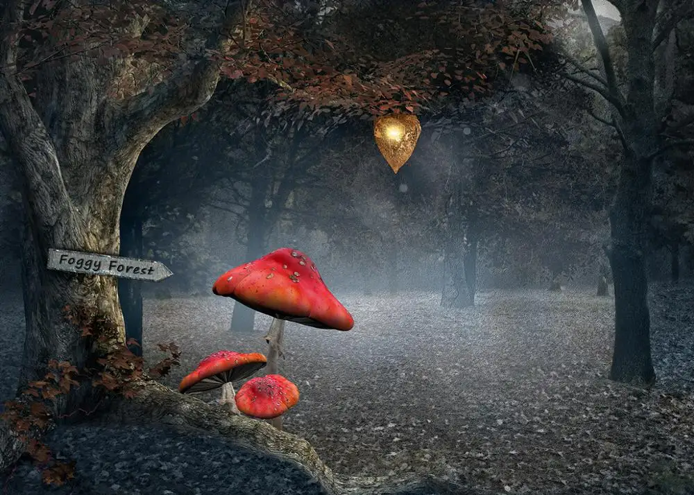 خلفية تصوير الغابة كابيسكو ، خلفية صور للأطفال ، استوديو صور خرافية ، فطر