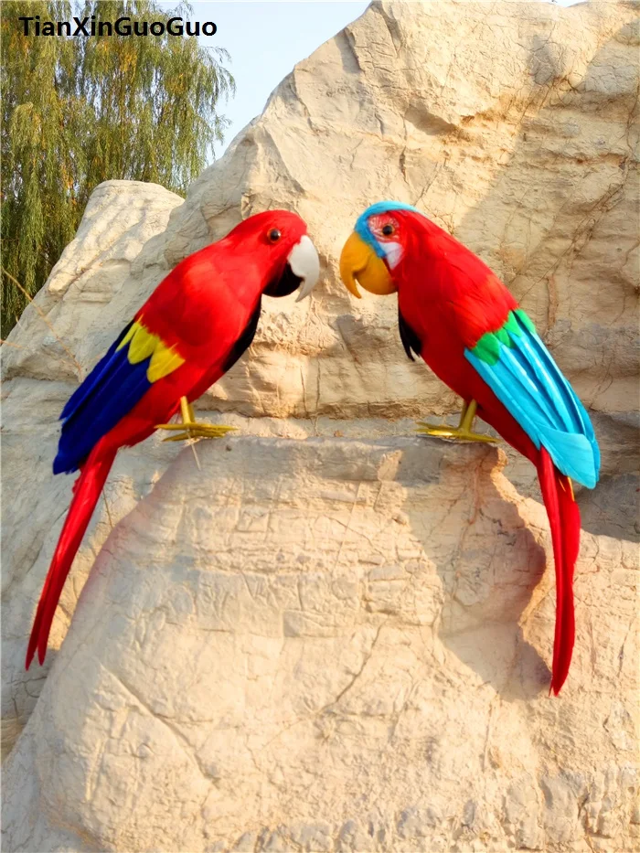 

large 30cm simulation beautiful parrot hard model toy feathers parrot handicraft home garden decoration gift s0289