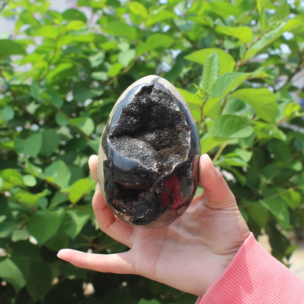 780g Natural curvature of the furnishing articles Turtle grain stone egg  Ball Septarian nodule  Crystal Healing quartz 54