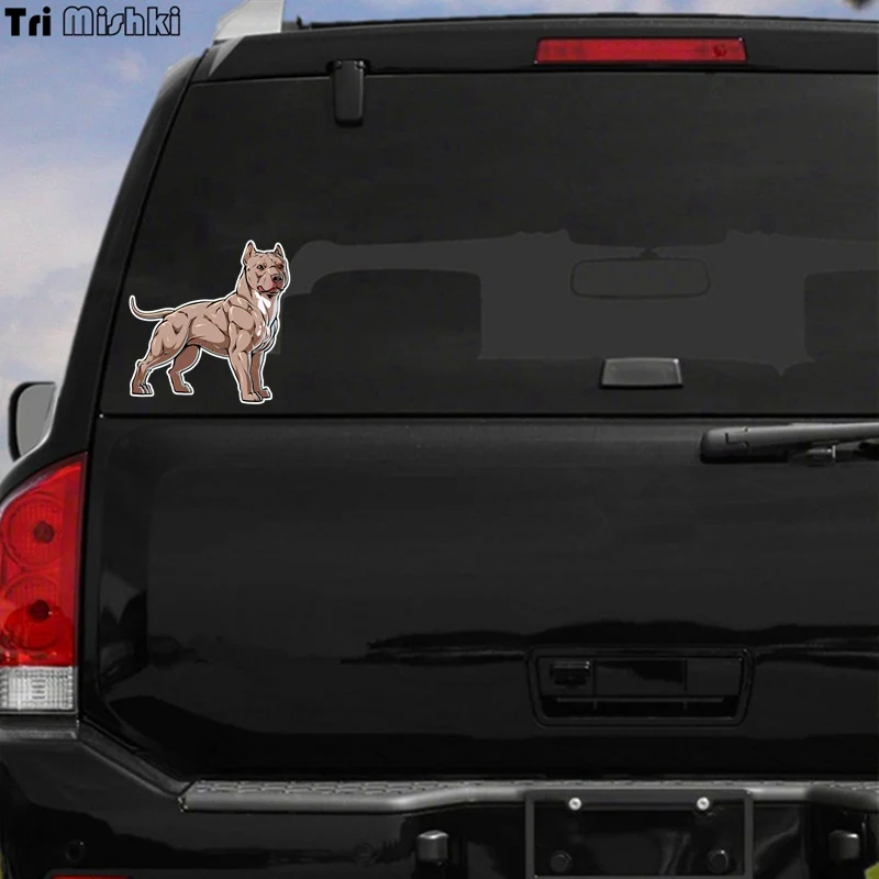 Tri Mishki WCS334 14x14cm American Pit Bull Terrier dog car stickers auto automobile decals accessiories sticker