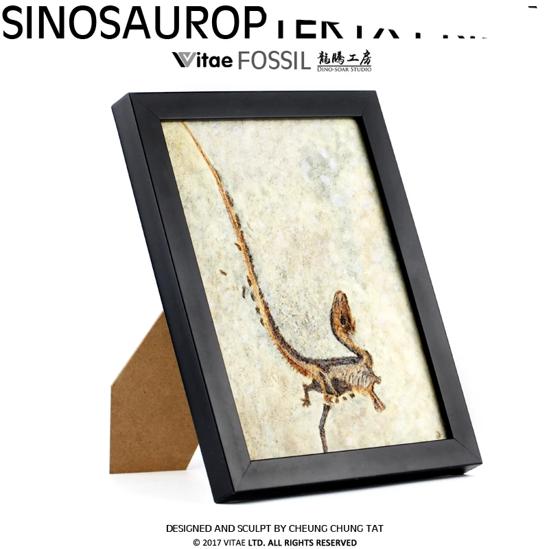 Vitae fossils Jurassic dinosaur original Chinese Dragon Bird carved stone table pendant photo frame home dec