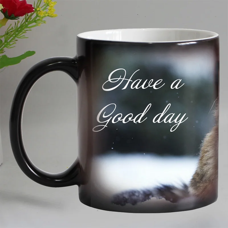 Cat Heat Reveal Coffee Mug, Ceramic Color Changing, Milk Tea Cups, Have a Good Day, Lovely Cat, Surprised Gift for Friends