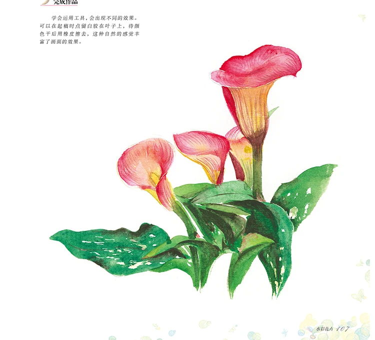 Watercolor Tutorial Book Chinese Water Color Drawing Books for beginners Introduction to Watercolor 33 cases -Flowers