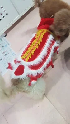 New Year\'s pet Chinese costume dragon dance lion dog clothes lion dance red funny festive lucky cat clothes makeover