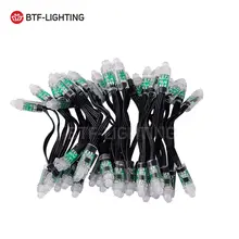 Waterproof Addressable LED String Lights 50 pcs #3