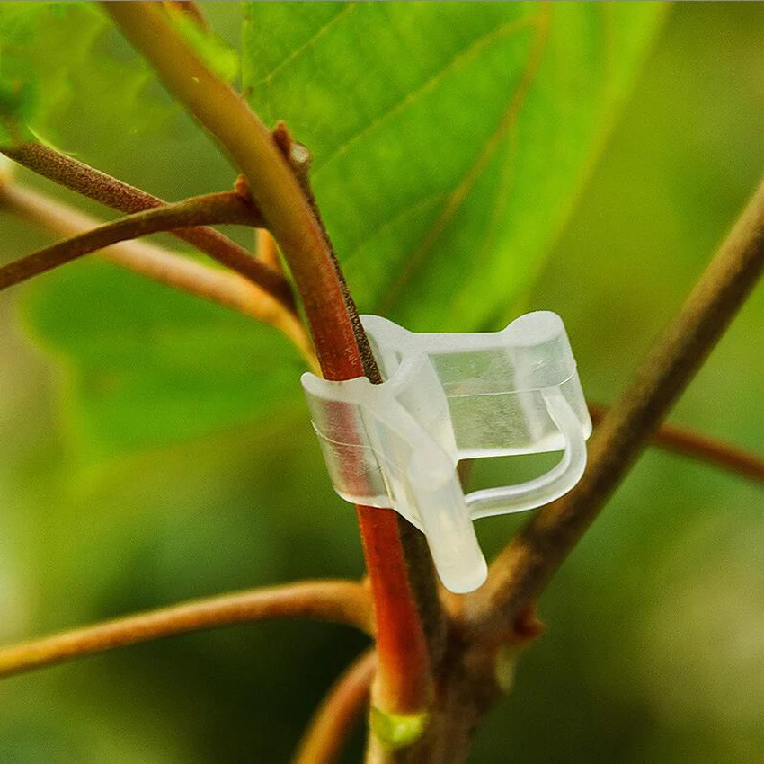 100PC/set New Transparent Durable Plastic Grafting Clips for Garden Vegetable Flower Vine Bushes Plants Tool Equipment