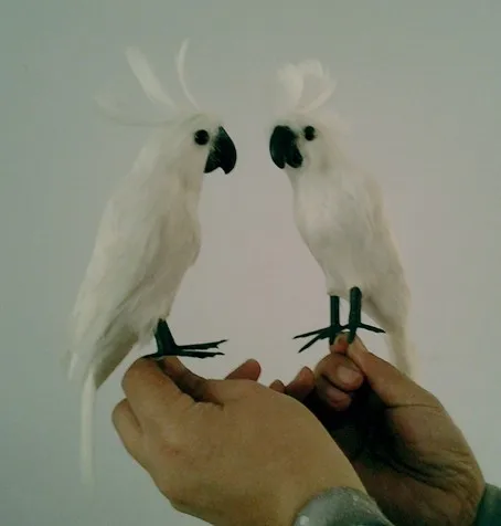 about 30cm white parrot model ,polyethylene resin handicraft,home decoration a1754