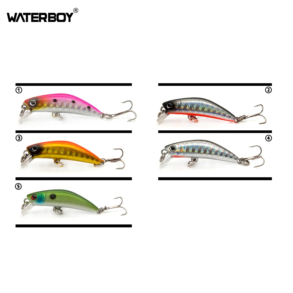 WATERBOY Mini Minnow Fishing Lure 4.2cm 1.7in 2.6g 0.1oz Lifelike Swimming and Color Spraying Artificial Iscas Fishing Bait