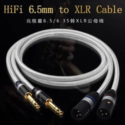 ATAUDIO miedzi i srebra Hifi 6.5mm do kabel xlr Hi-end podwójny 6.35mm do Dual xlr męski kabel Audio