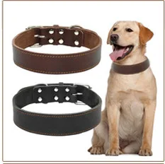 Echtes Leder-Katzenhalsband für kleine und mittelgroße Hunde, personalisiertes Hunde-ID-Halsband, individueller Haustiername und Telefonnummer, kostenlose Gravur – Detail 26