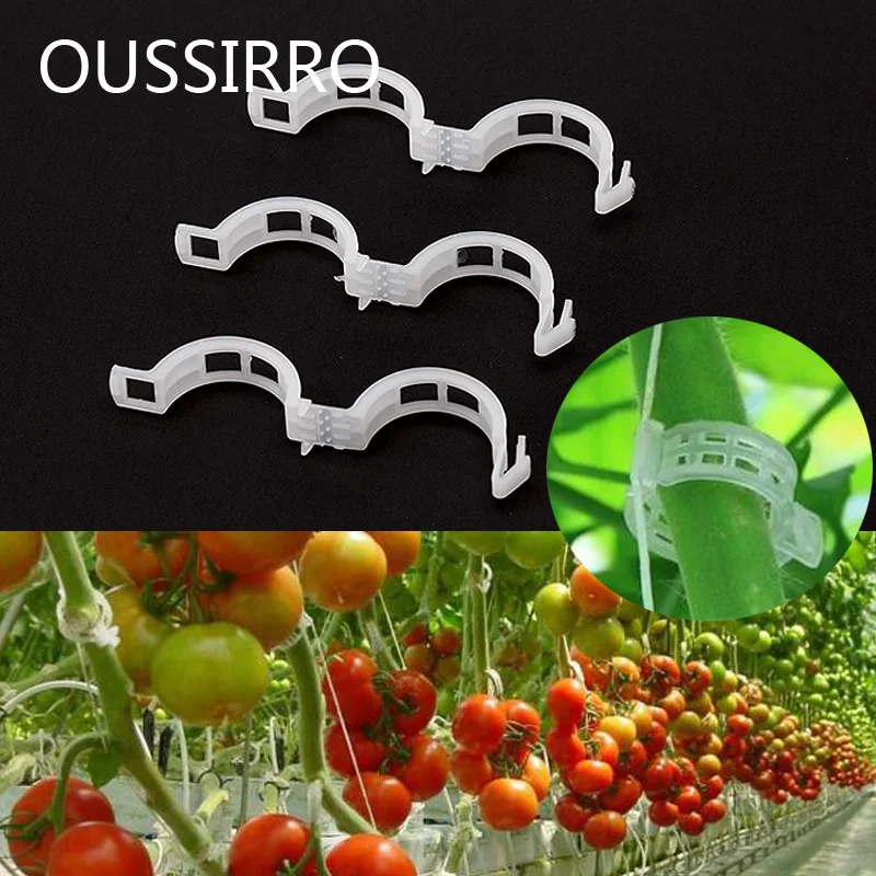 Durable Clear  Plant Support Clips Vine Garden Vegetables 23mm For Types Plants Hanging Plastic