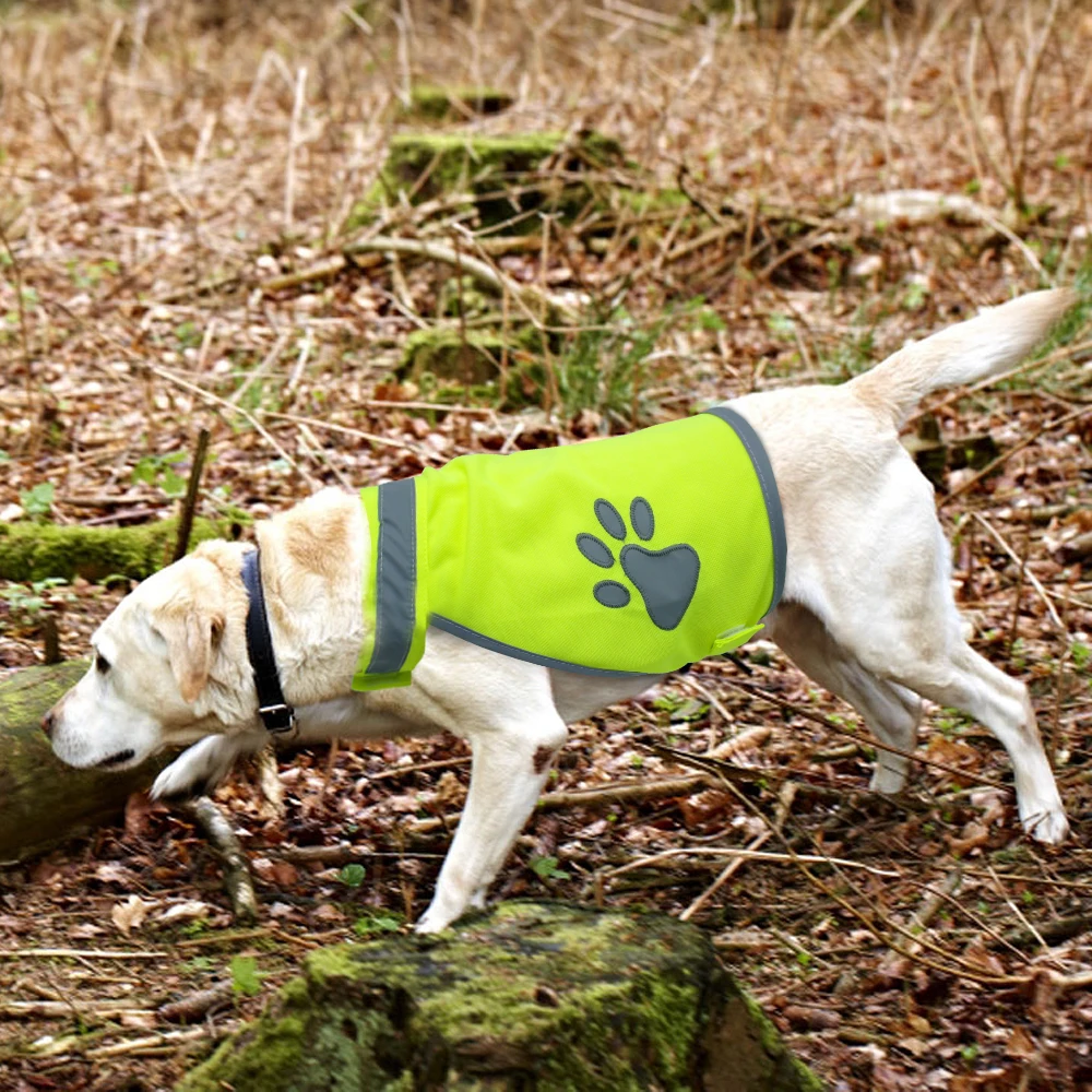 Colete reflexivo para cães, roupas de alta visibilidade, cães pequenos e grandes, colete de segurança para caminhadas ao ar livre, caminhada com pata