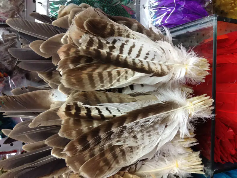Wholesale perfect  52pcs  Rare  high quality natural Owl tail feathers 10-16inch/25-40cm  Decorative diy