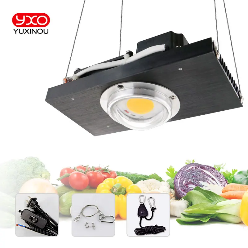 CXB3590 COB LED Grow Light Full Spectrum 100W 200W LED Grow Lamp for Indoor Tent Greenhouse Hydroponic Plant Flower