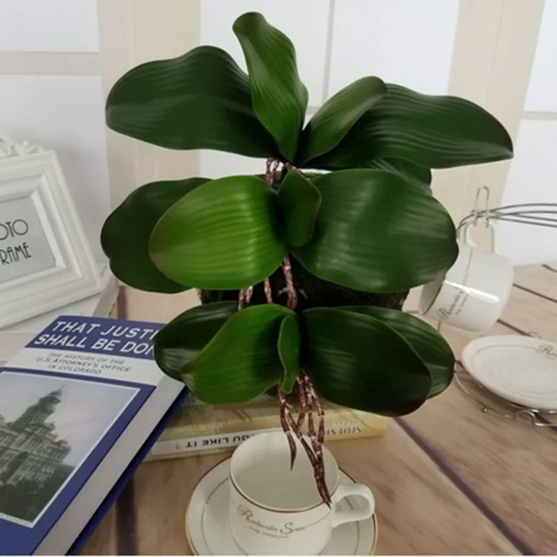 1Pcs real touch phalaenopsis leaf artificial plant leaf decorative flowers auxiliary material flower decoration Orchid leaves