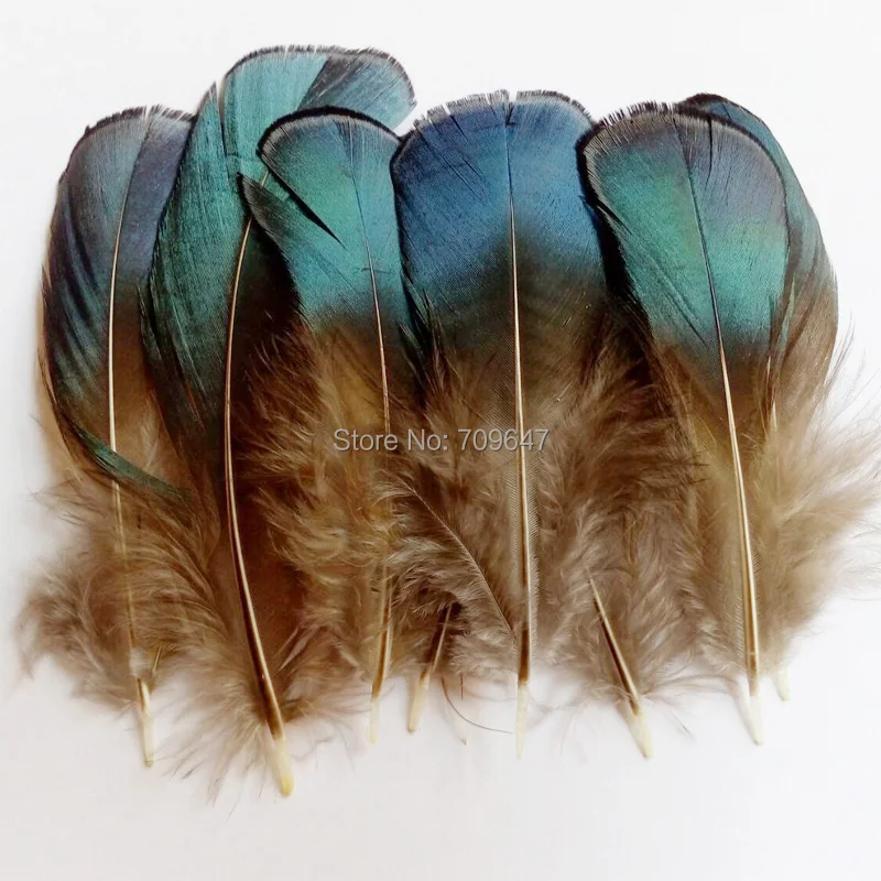 100PCS/LOT 5-8cm BLUE BRONZE Lady Amherst Pheasant Plumage Feathers for facinators earrings hair fly tying crafts