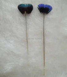 Rzadkie pióra!10 sztuk / partia 5-6 cm długości NATURALNY PEACOCK CROWN FEATHERS - materiał do wiązania much, rzadkie pawie pióra