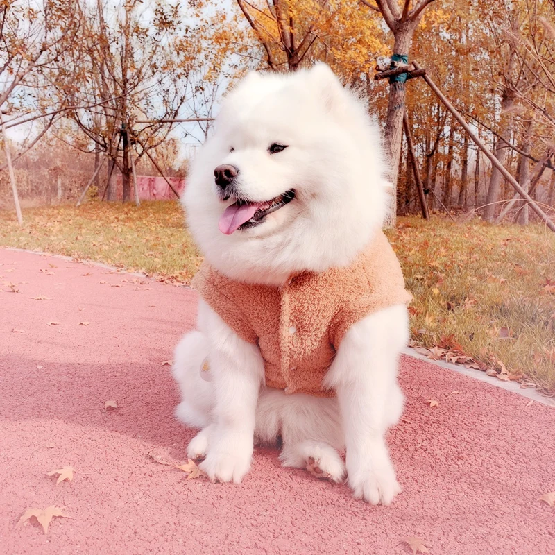 Raccoon Costumes Clothes For That Terrier Thick Winter Warm Pet Coat And Jackets For Small Medium Large Animal Cat Poodl Hoodie