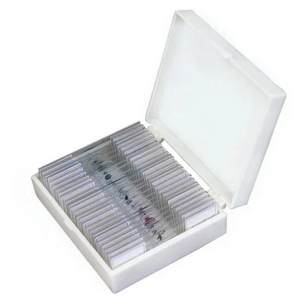 AmScope Supplies 25 Glass Prepared Microscope Slides with Plastic Box