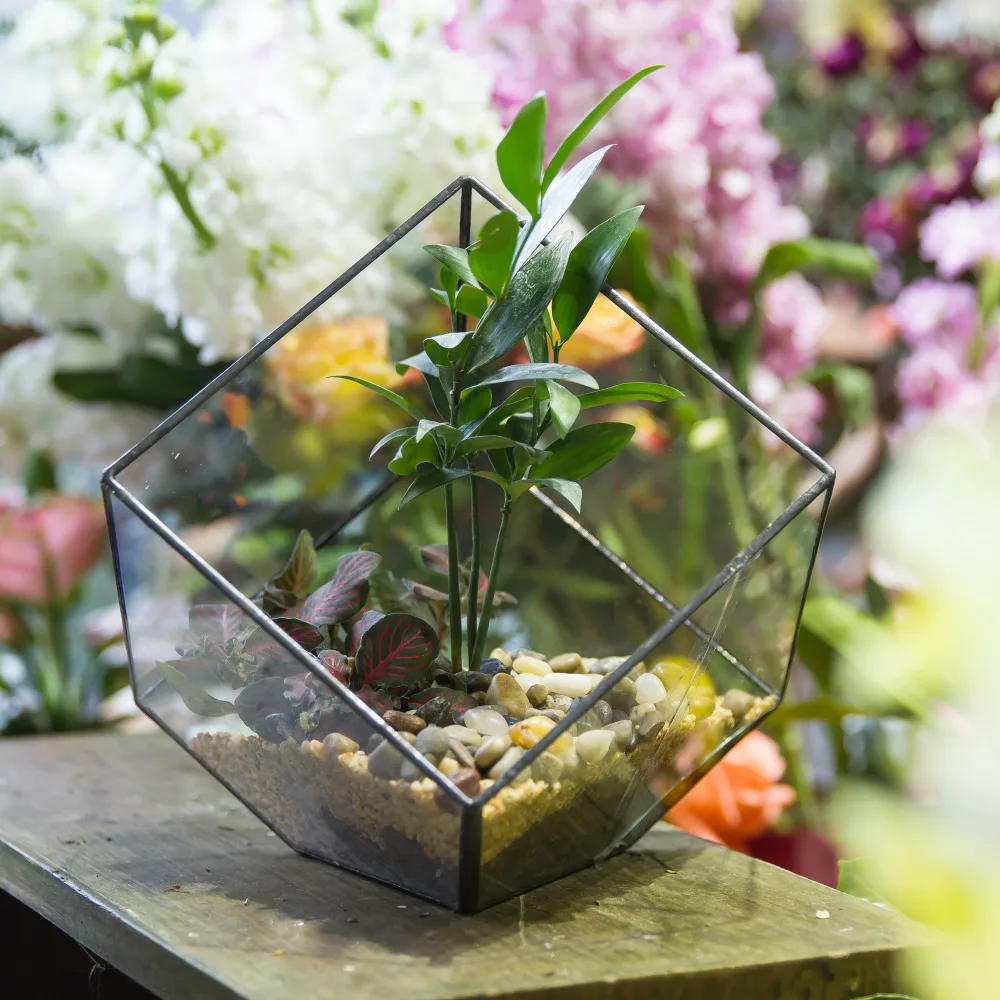 Tabletop Geometric Terrarium Glass Decorative Flowerpot Polyhedron Flower Plants Succulent Moss Box Micro Landscape Terrarium