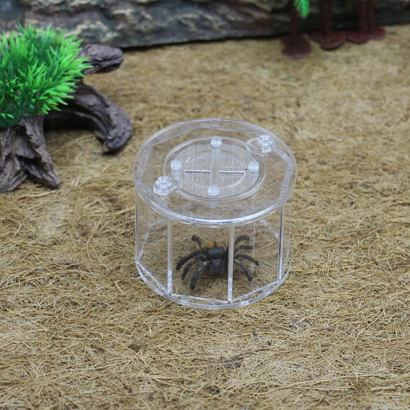 ant grape 8 sides pet spider ant farm, acrylic assembled reptile breeding box Ant spider scorpion climbed pet escape burrow nest